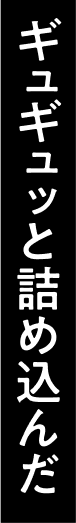 ギュギュッと詰め込んだ